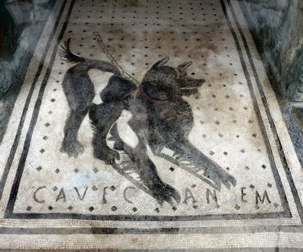Casa_del_poeta_tragico_mosaico_del_cave_canem-1024x683